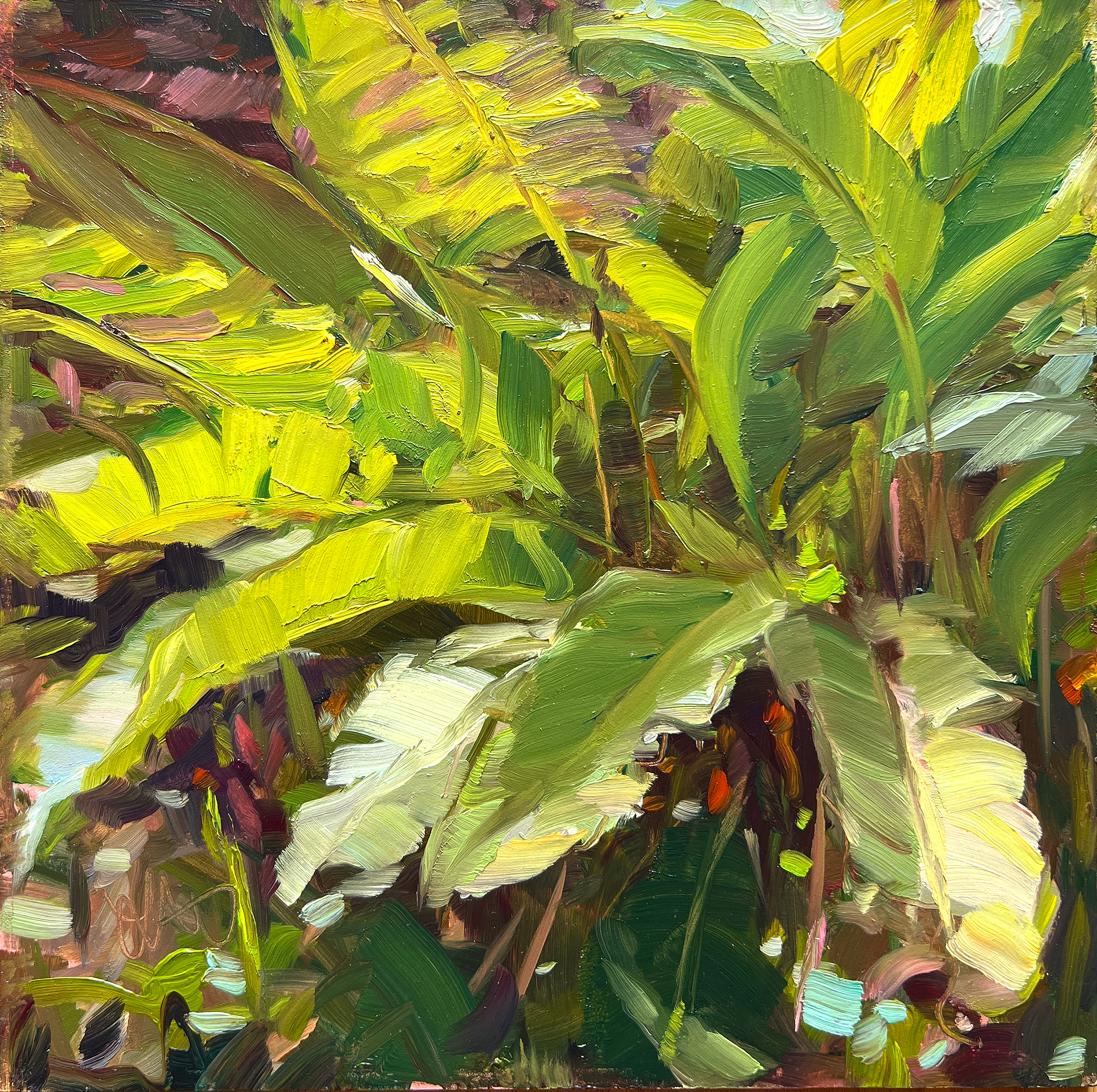 Foliage, 2024
8 x 8 in. Oil on Panel
Painted En Plein Air
Merrick House - Coral Gables, FL
$300